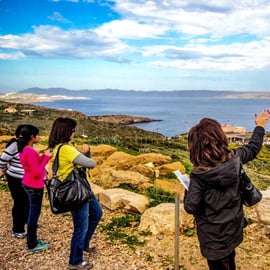 Au départ d'Athènes : Visite guidée du Temple de Poséidon et du Cap Sounion