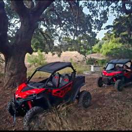 Athènes : aventure hors-piste en buggy sur la côte et en montagne