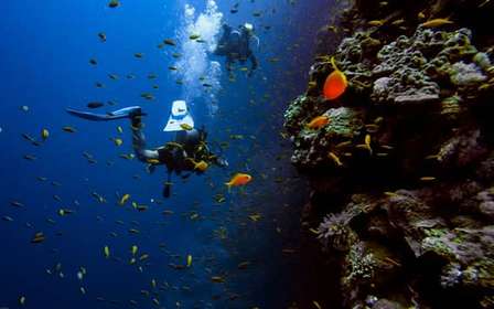 Athènes : plongée sous marine et temple de Poséidon à Sounion avec prise en charge