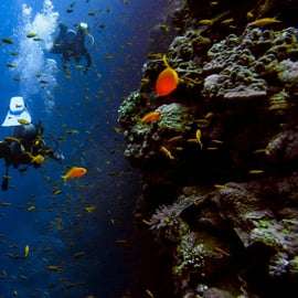 Athènes : plongée sous marine et temple de Poséidon à Sounion avec prise en charge
