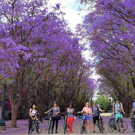 Athènes : Tour de ville à vélo
