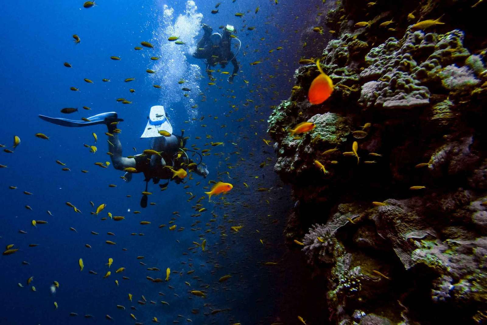 Athènes : plongée sous marine et temple de Poséidon à Sounion avec prise en charge