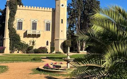 Athènes : visite œnologique avec dégustation de vin dans une cave locale