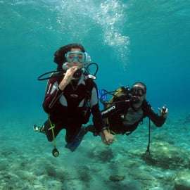 Athènes : Découvrez la plongée sous-marine pour les débutants