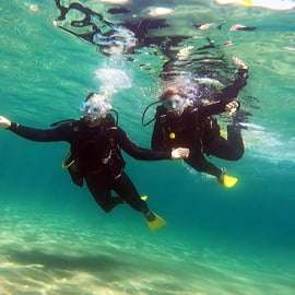 Côte Est d'Athènes : Découvrez la plongée sous-marine à Nea Makri