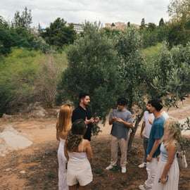 Athènes : visite d'un moulin à huile d'olive avec dégustation et en-cas