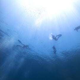 Athènes : Aventure de plongée en apnée sur la Riviera