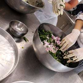 Athènes : Cours de cuisine grecque et dîner sur un toit