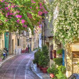 Depuis le port du Pirée : visite de la ville d'Athènes avec l'Acropole et Plaka