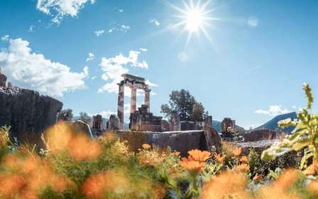 Athènes : Excursion d'une journée à Delphes, dans la grotte des Coryciens et sur le champ de bataille de l'an 300