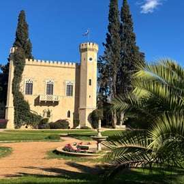 Athènes : visite œnologique avec dégustation de vin dans une cave locale