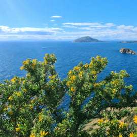 Au départ d'Athènes : Visite guidée du Temple de Poséidon et du Cap Sounion