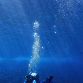 Athènes : plongée sous marine et temple de Poséidon à Sounion avec prise en charge